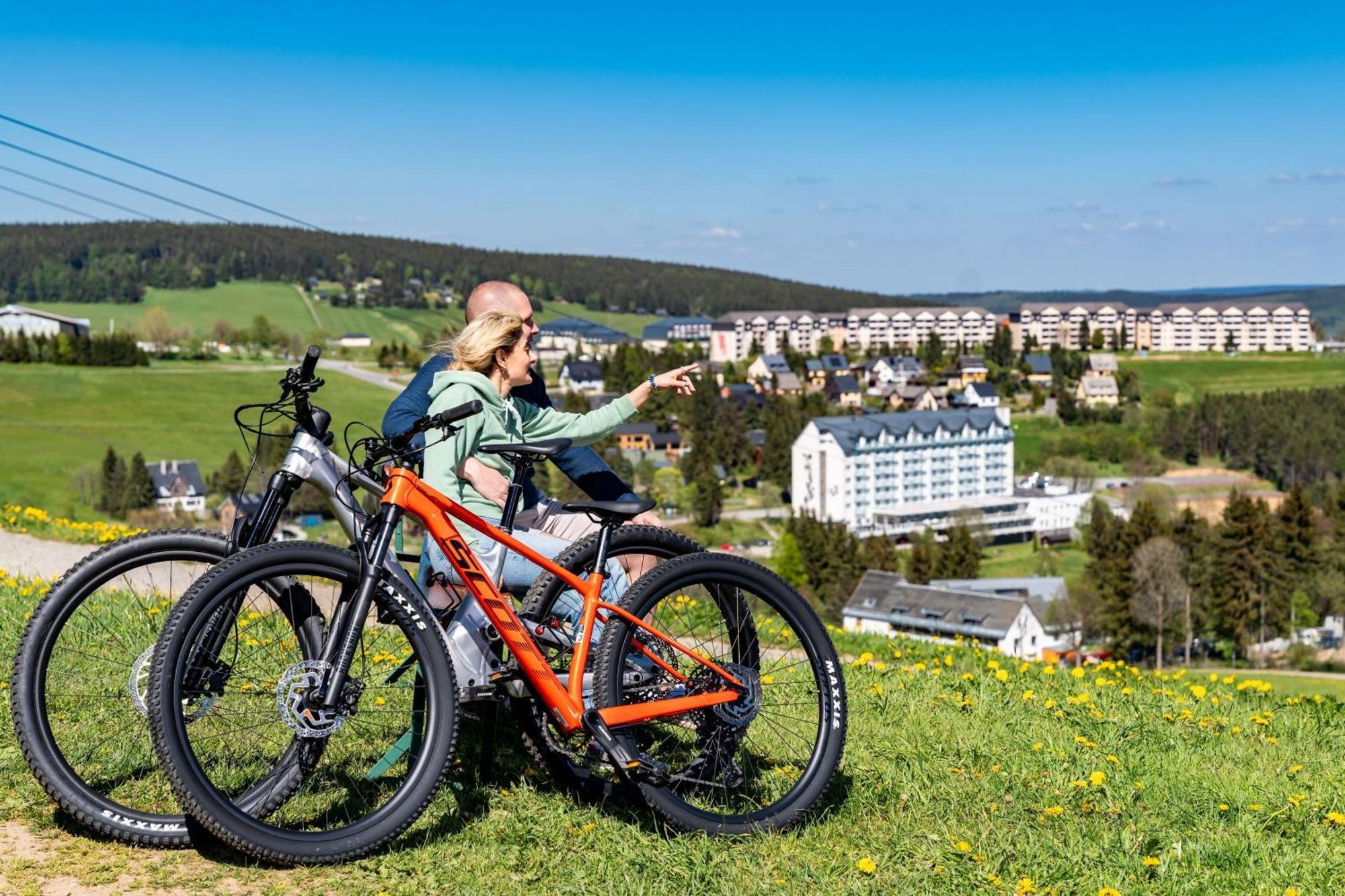 Western Ahorn - Adults Only Oberwiesenthal