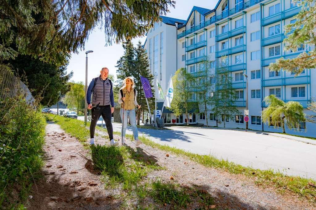 Western Ahorn - Adults Only Oberwiesenthal